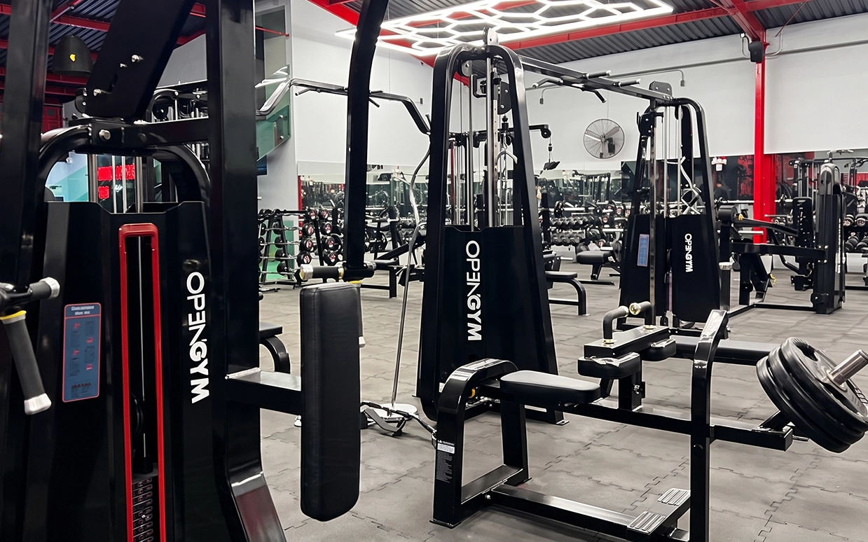 Gimnasio 02