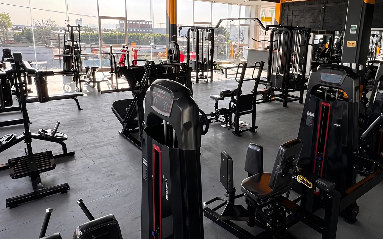 Gimnasio 03